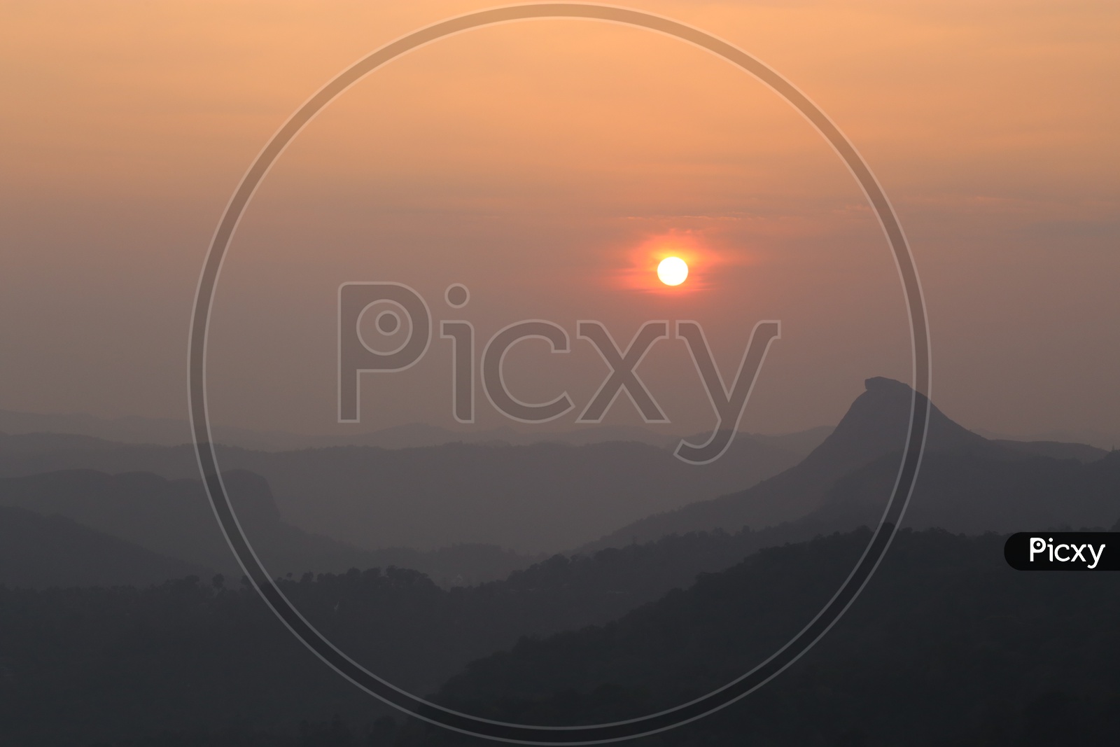 Beautiful landscape of  Sunrise in Munnar,Kerala, India