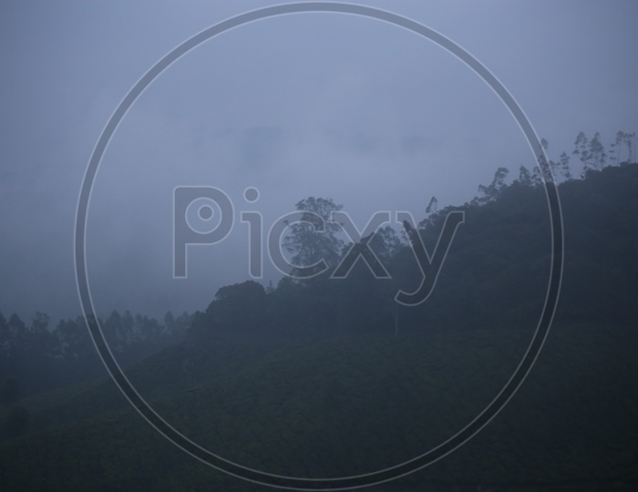 A Beautiful View Of a Landscape With Misty Fog Over The Hills in Munnar