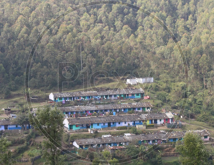 Houses in Valleys Of Munnar