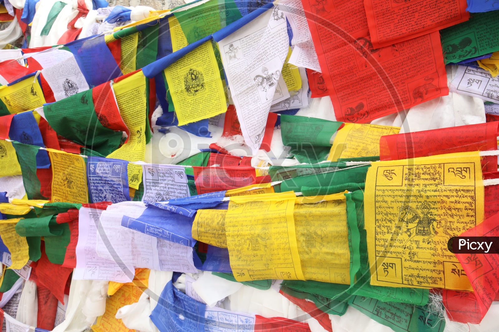 Tibetan Flags in Leh Closeup Shot
