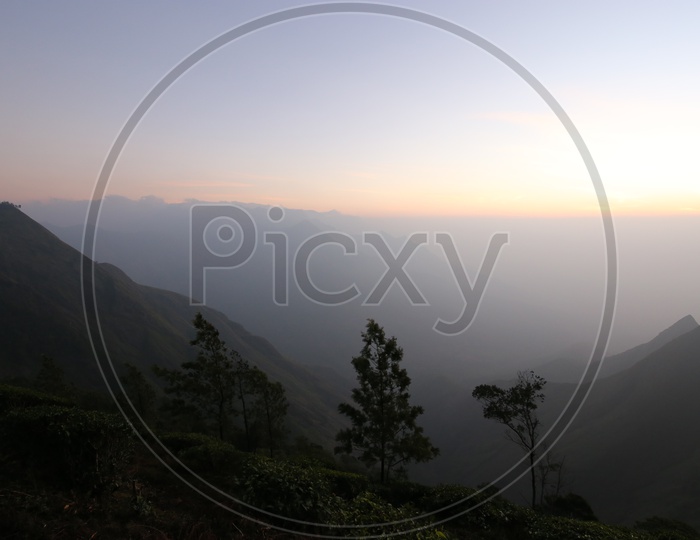 A Beautiful Scenic View Of Munnar tea Plantation and Hills