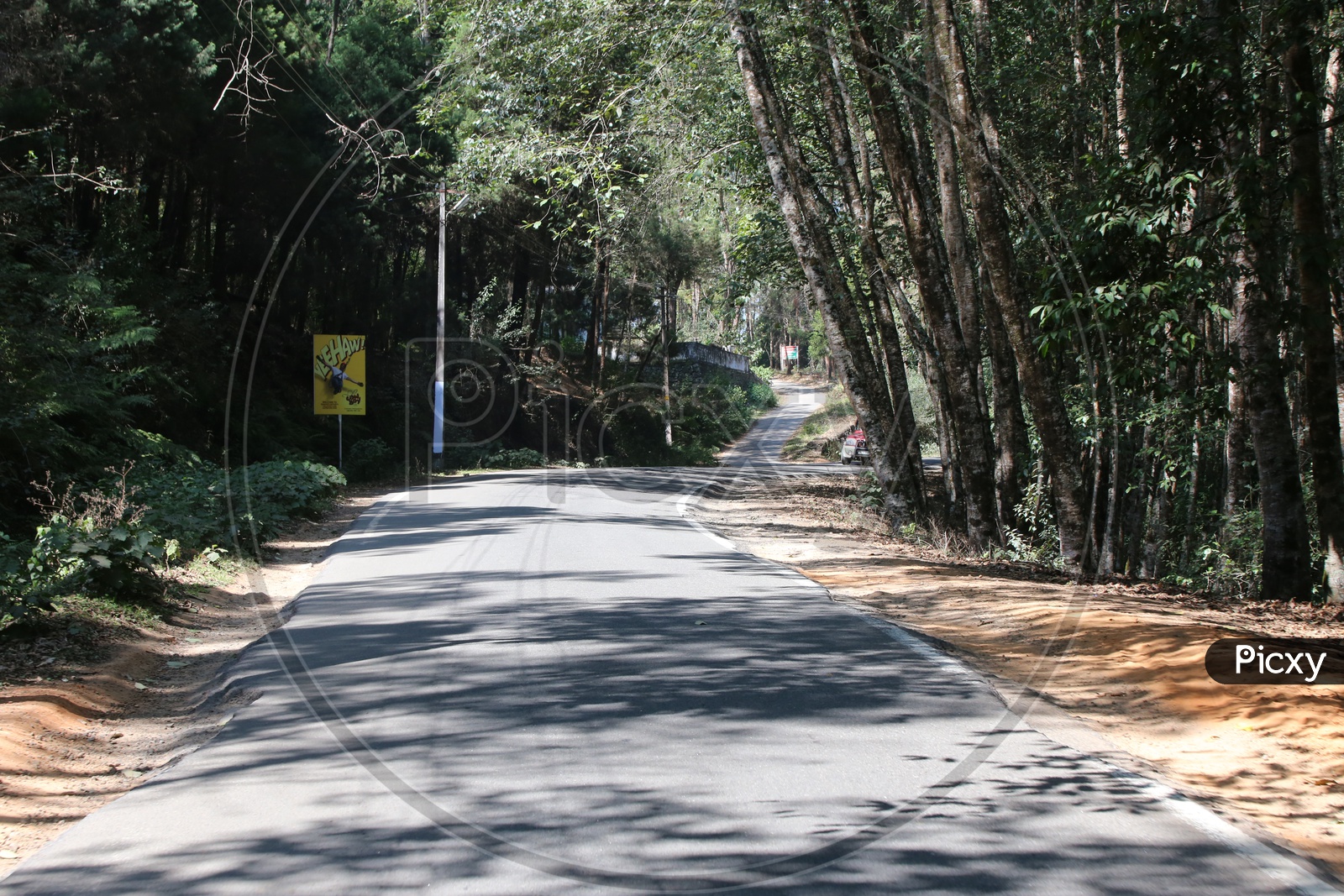 Roads In Munnar With Trees On Both Sides Of Roads