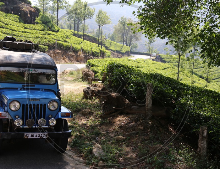 Local Public Transport Jeep  In  Ghat Roads Of Munnar