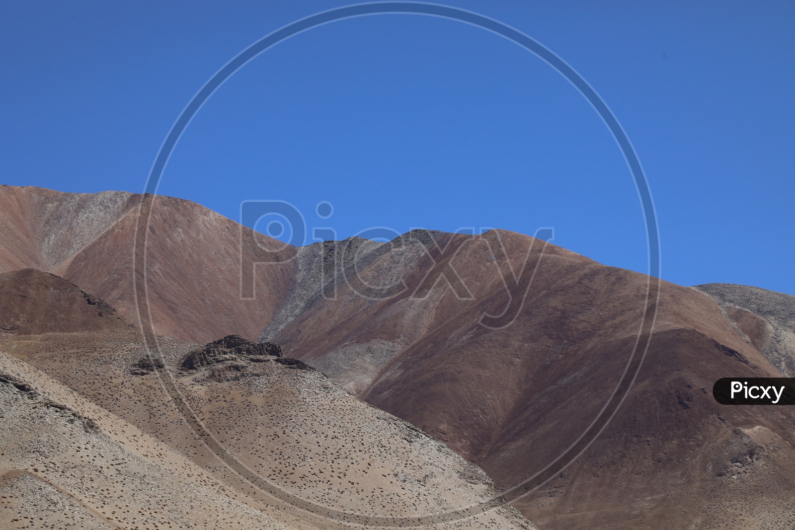A Beautiful Composition Shot Of Sand Dunes in Leh