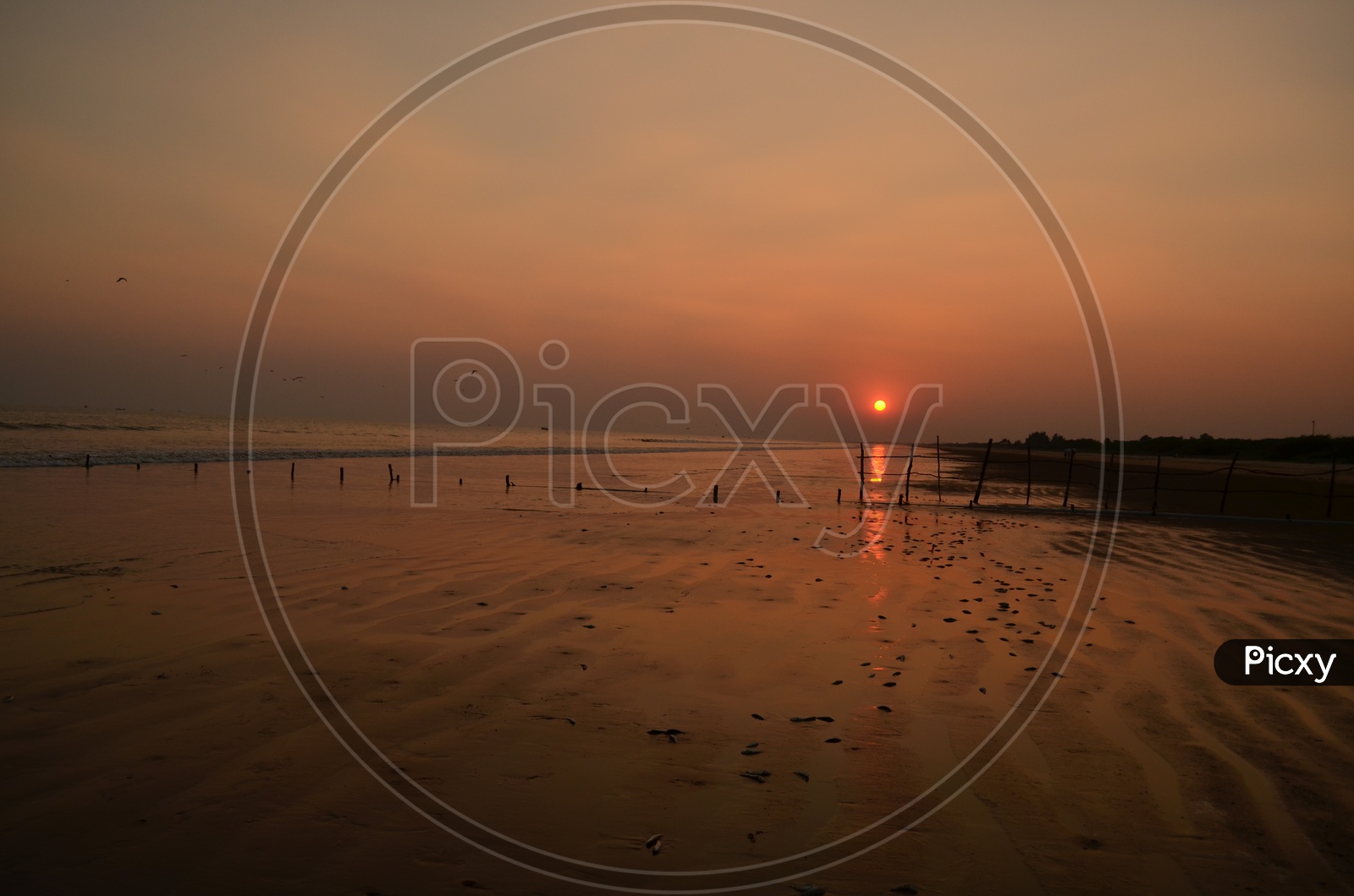 A Beautiful Sunset In Surya Lanka Beach In Golden Hour