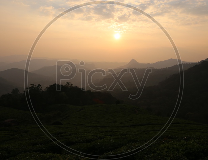 Munnar Tea Plantations and Sunset