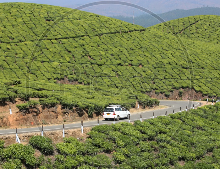 Car Traveling and Munnar Tea Plantations