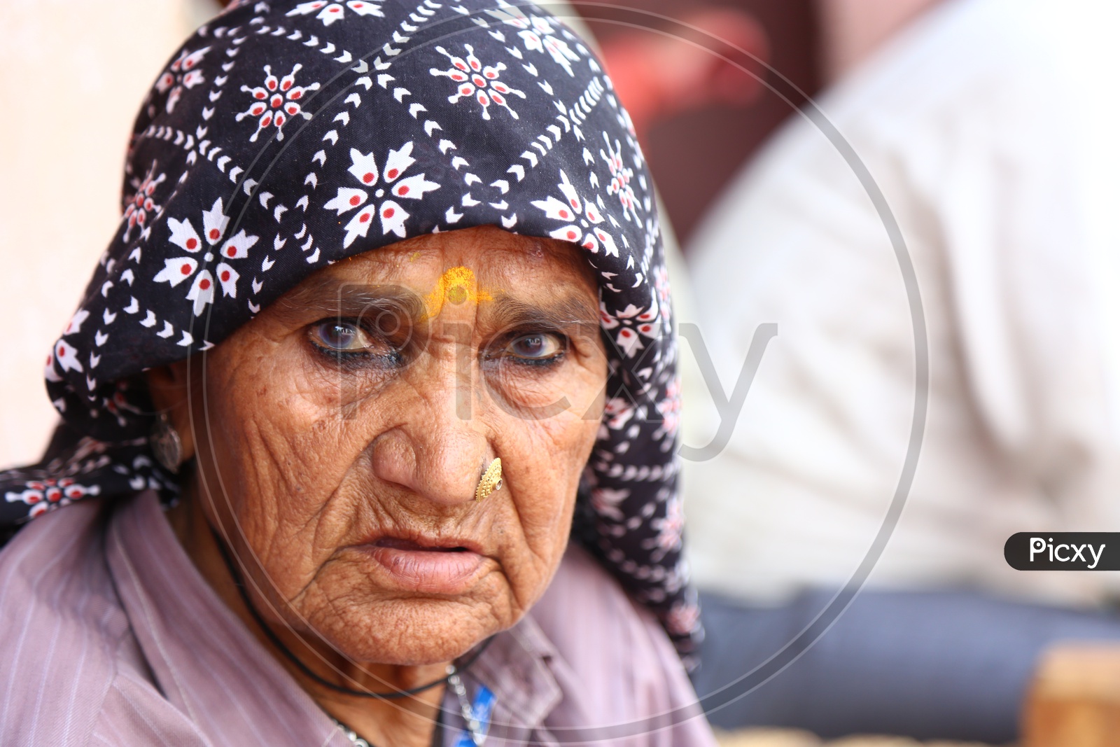 Old woman with Colors on his face - Holi Celebrations - Indian Festival - Colors/Colorful at Nandagaon