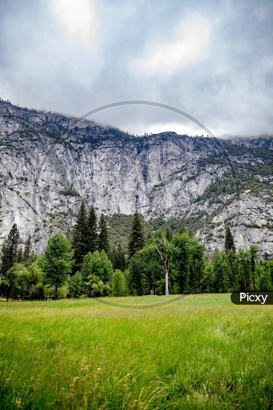 A Beautiful Composition Shot Of a Mountains In Yosemite Valley With  Mountains , Fields In Foreground and Sky With Clouds