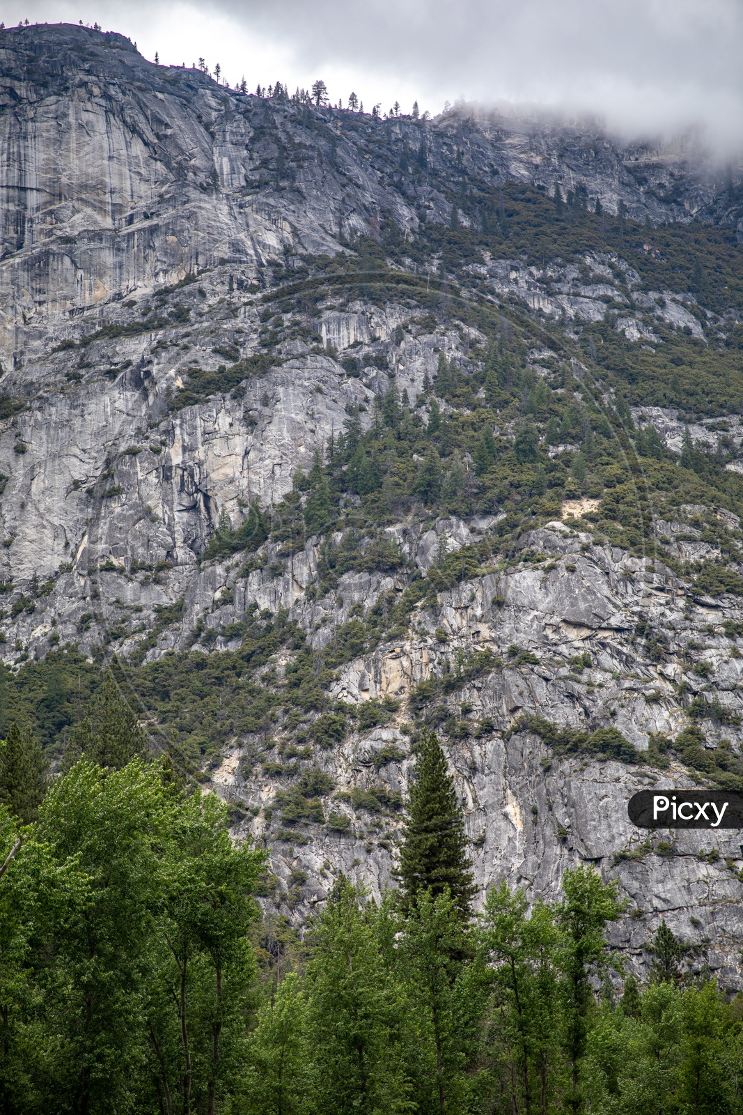 A Closeup Composition Shot Of a Mountain In Yosemite Valley