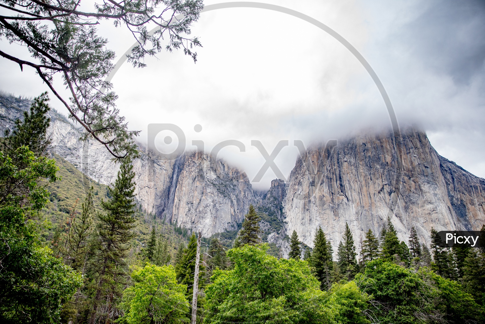 A Composition Shot Of Mountain Peaks In Yosemite Valley