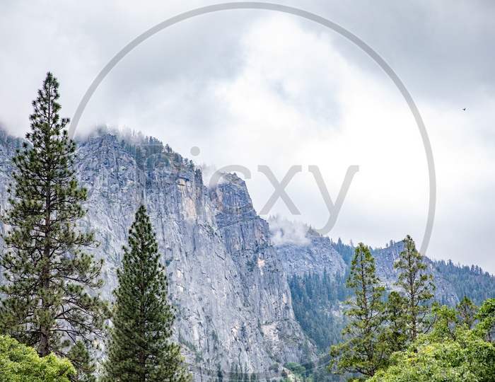 A Closeup Composition Shot Of a Mountain In Yosemite Valley