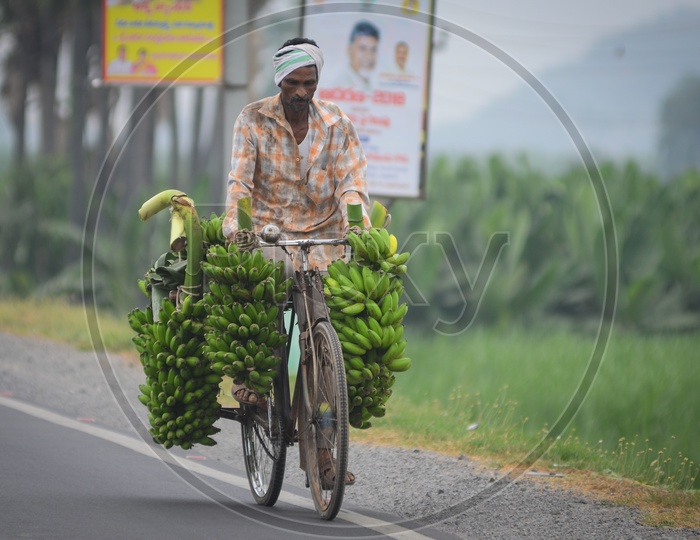Farmer, Piles of bananas, transportation
