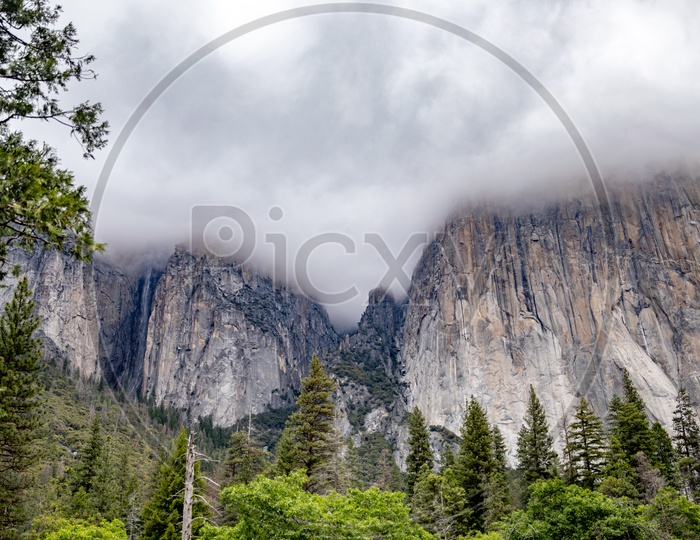 A Closeup Composition Shot Of a Mountain  In Yosemite Valley