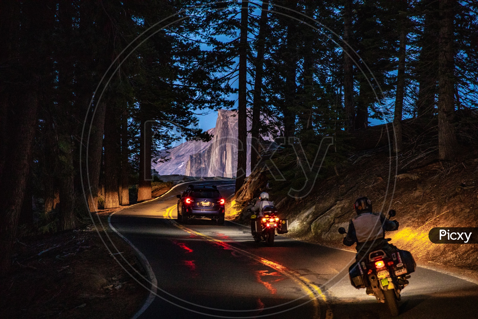 A Road With Curves In Yosemite Valley In Night Time With California Black Oak Trees On Both Sides Of Road