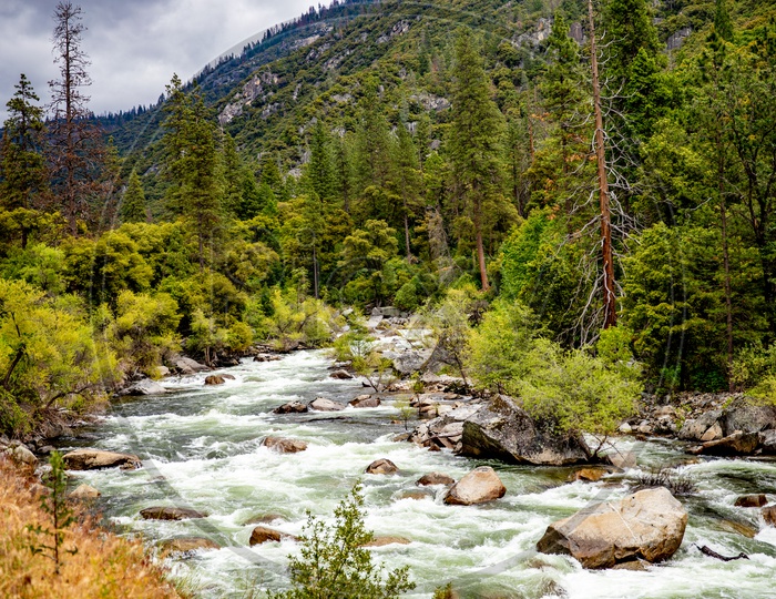 River flow, Yosemite Valley