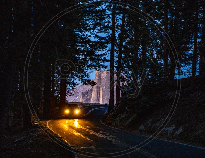 A Road With Curves In Yosemite Valley In Night Time With California Black Oak Trees On Both Sides Of Road