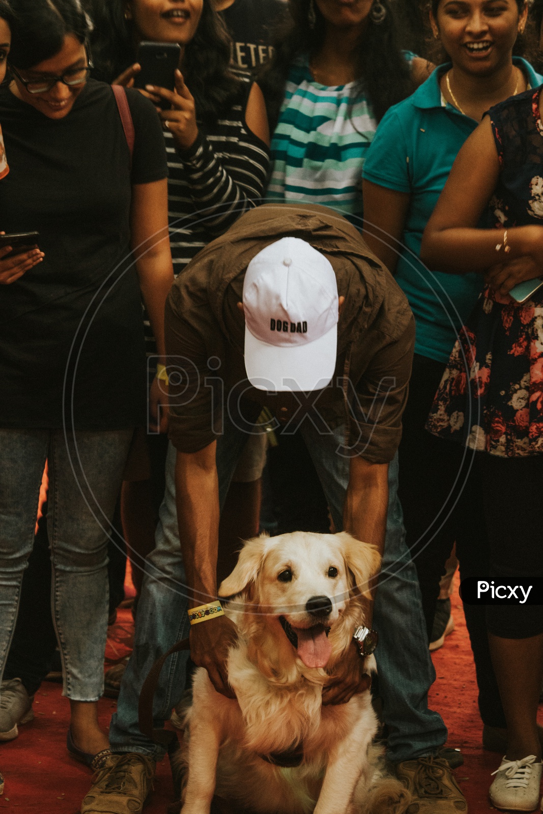 Golden Retriever Dog With His Guardian in Dog Show / Pet Show  in Bangalore