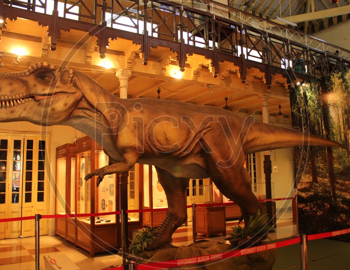 A Dinosaur Model In  Government Museum Chennai