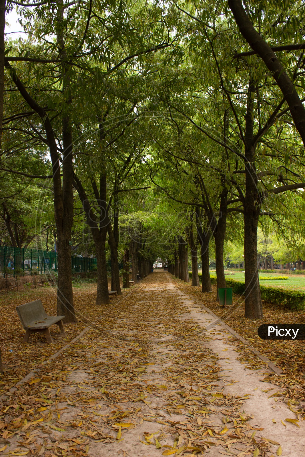 Pathways in park with Benches Along both sides and Trees along Both Sides