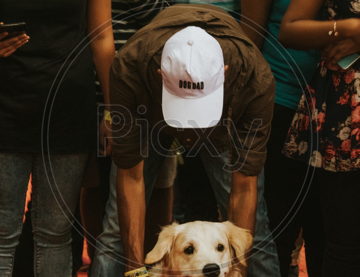 Golden Retriever Dog With His Guardian in Dog Show / Pet Show  in Bangalore