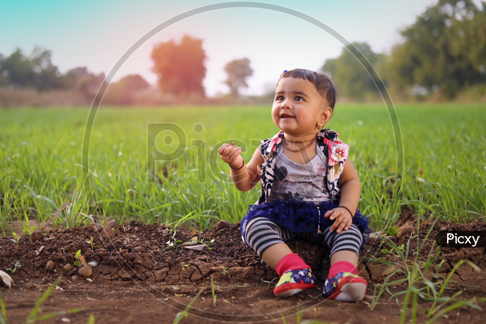 Baby girl is sitting in the middle of the agriculture fields and laughing