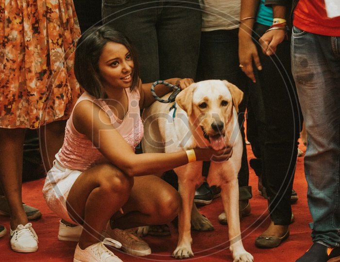 Labrador Retriever Dog With His Guardian In Dog Show / Pet Show in Bangalore