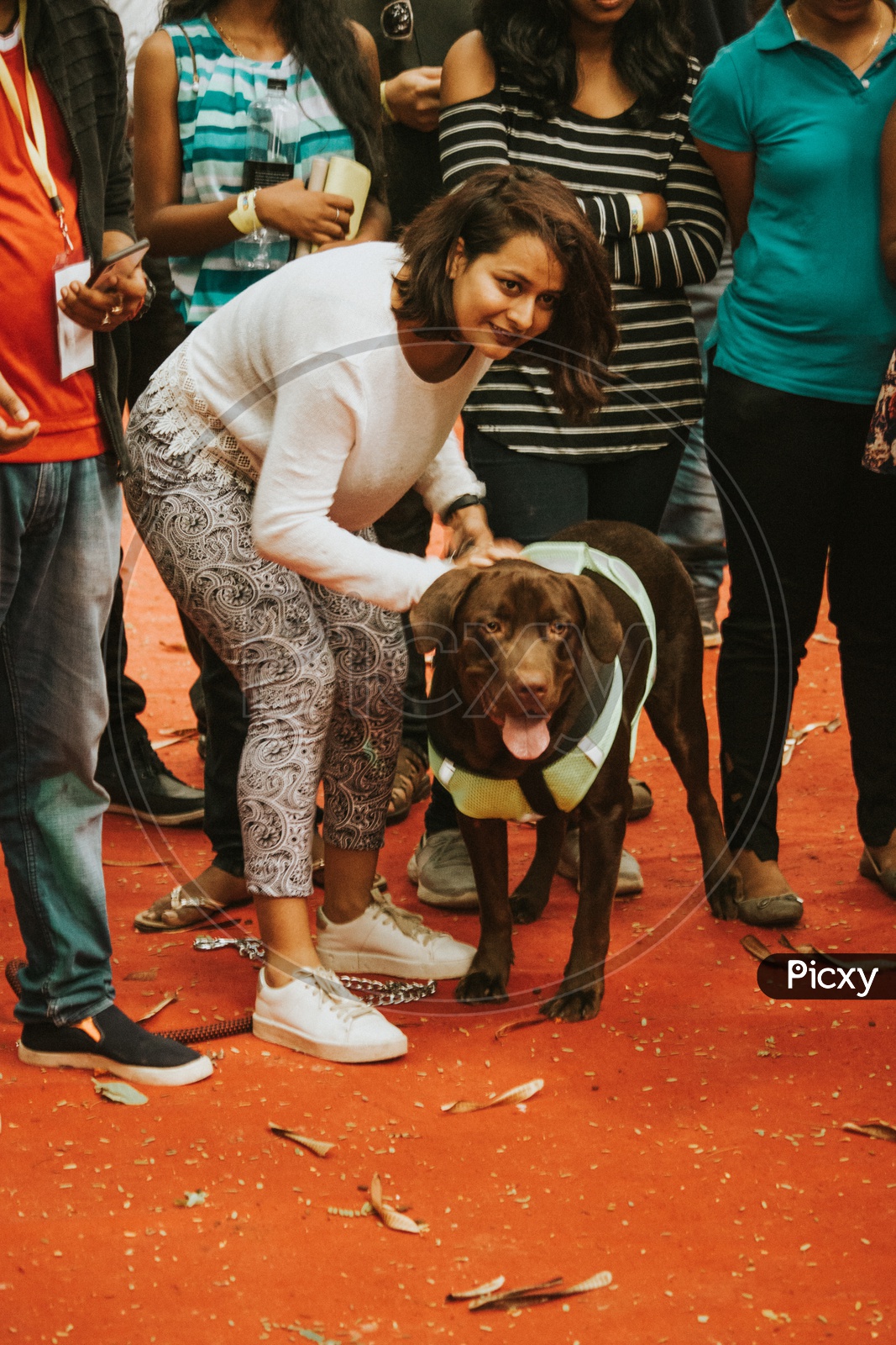 Rottweiler Dog With His Guardian in Dog show  / Pet Show in Bangalore