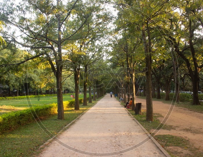 Pathways In Cubbon park