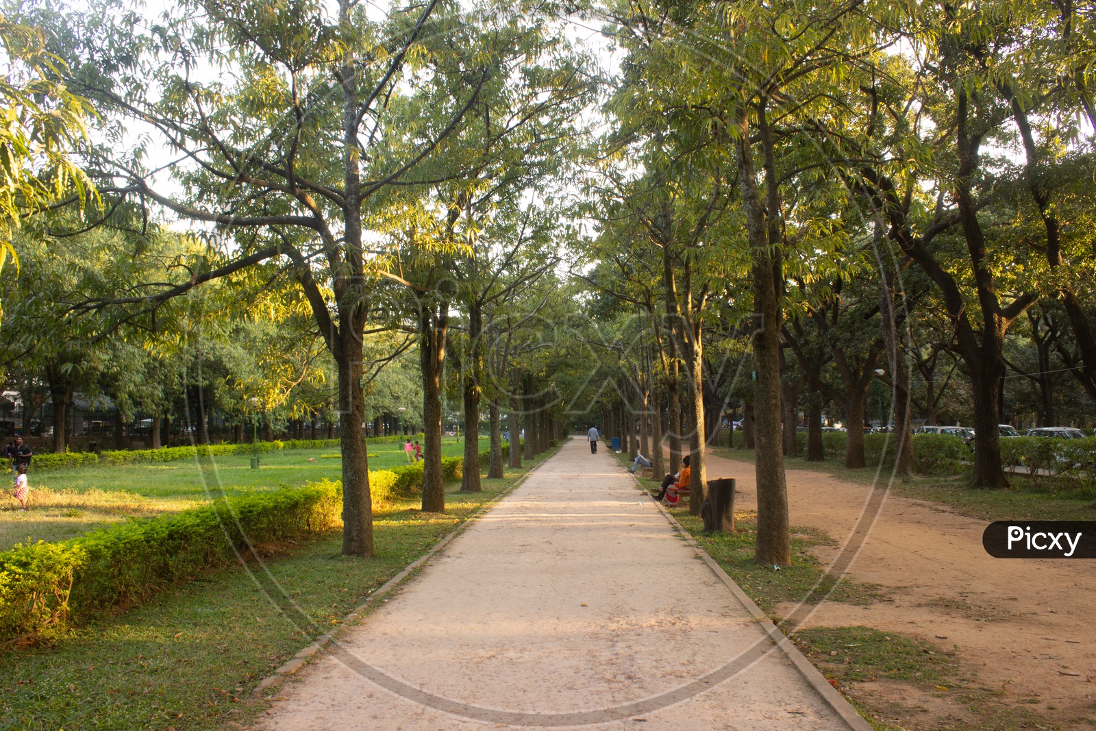 Pathways In Cubbon park