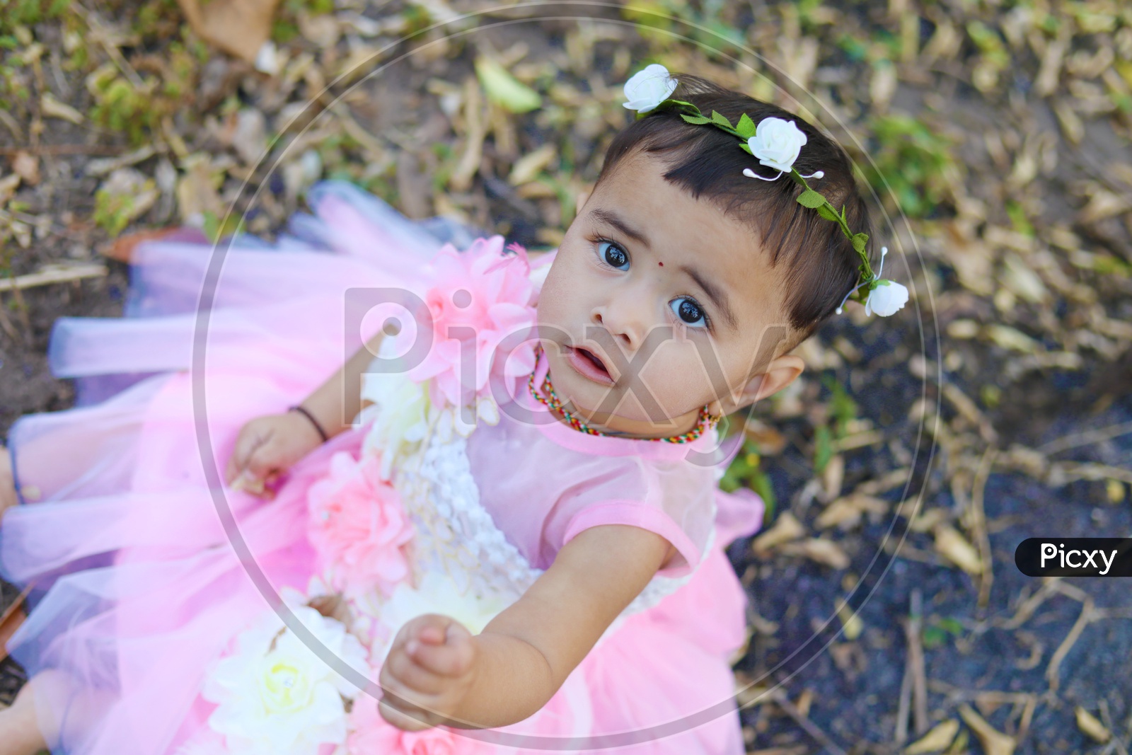 Baby girl in Pink frock with a flower hair band sitting in the middle of the fields