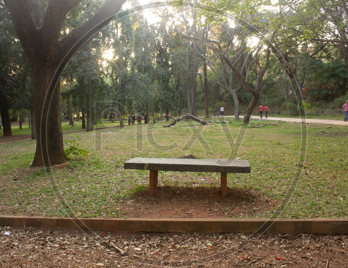 A Stone Bench in Cubbon park