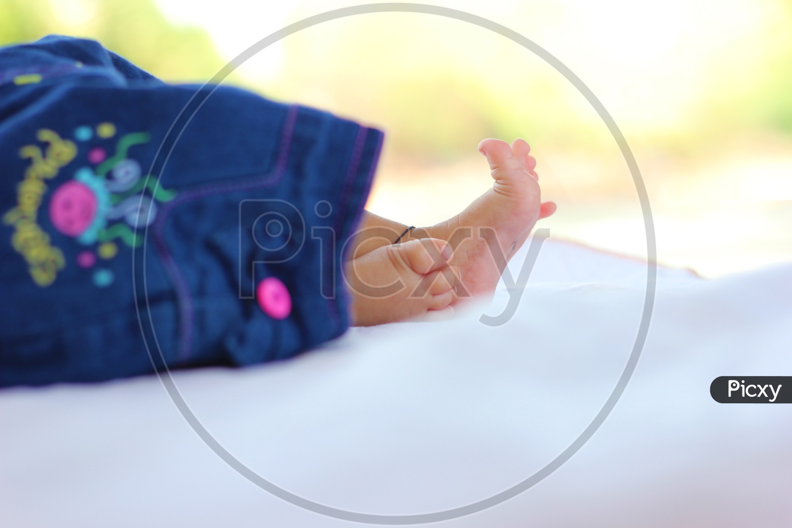 image-of-close-up-of-baby-feet-tiny-newborn-baby-s-feet-on-white