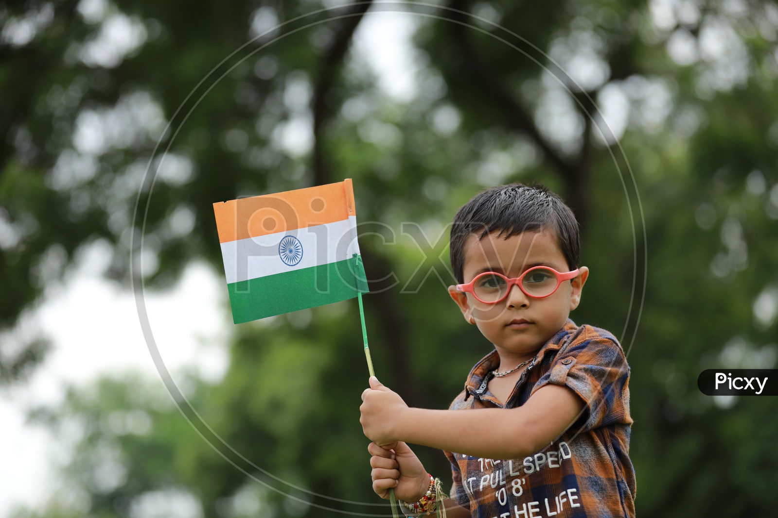 Image Of Cute Little Kid Having Indian Flag In Hand-kf939970-picxy