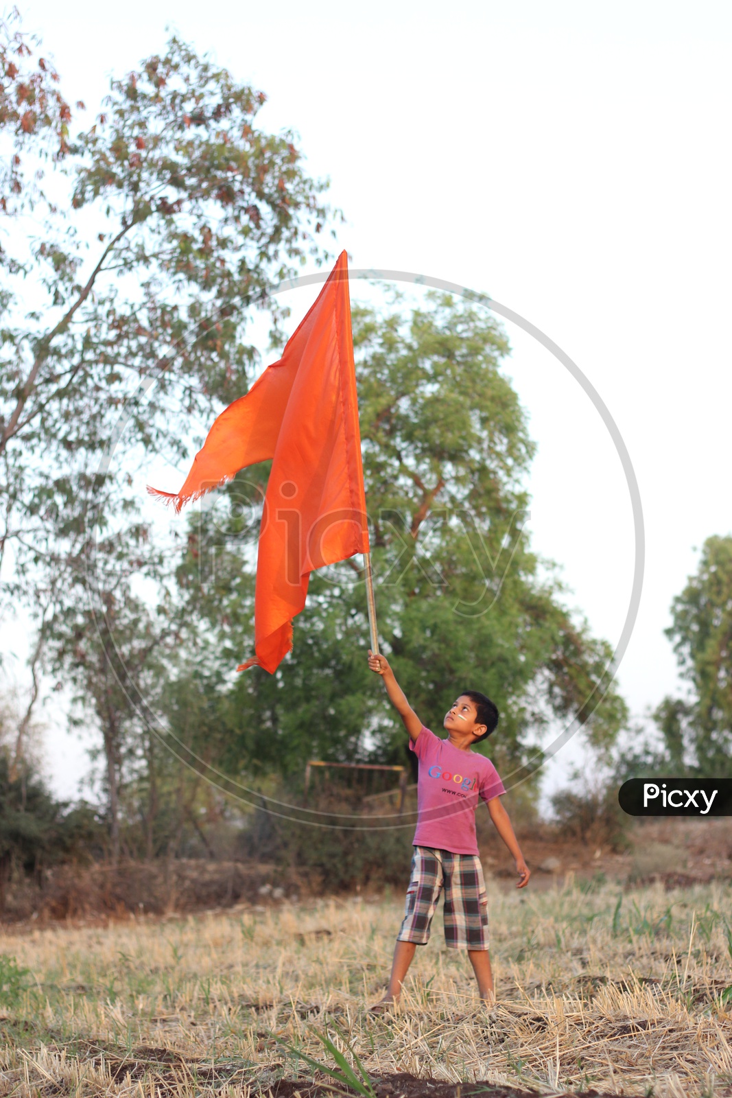 Flag in Child Hand