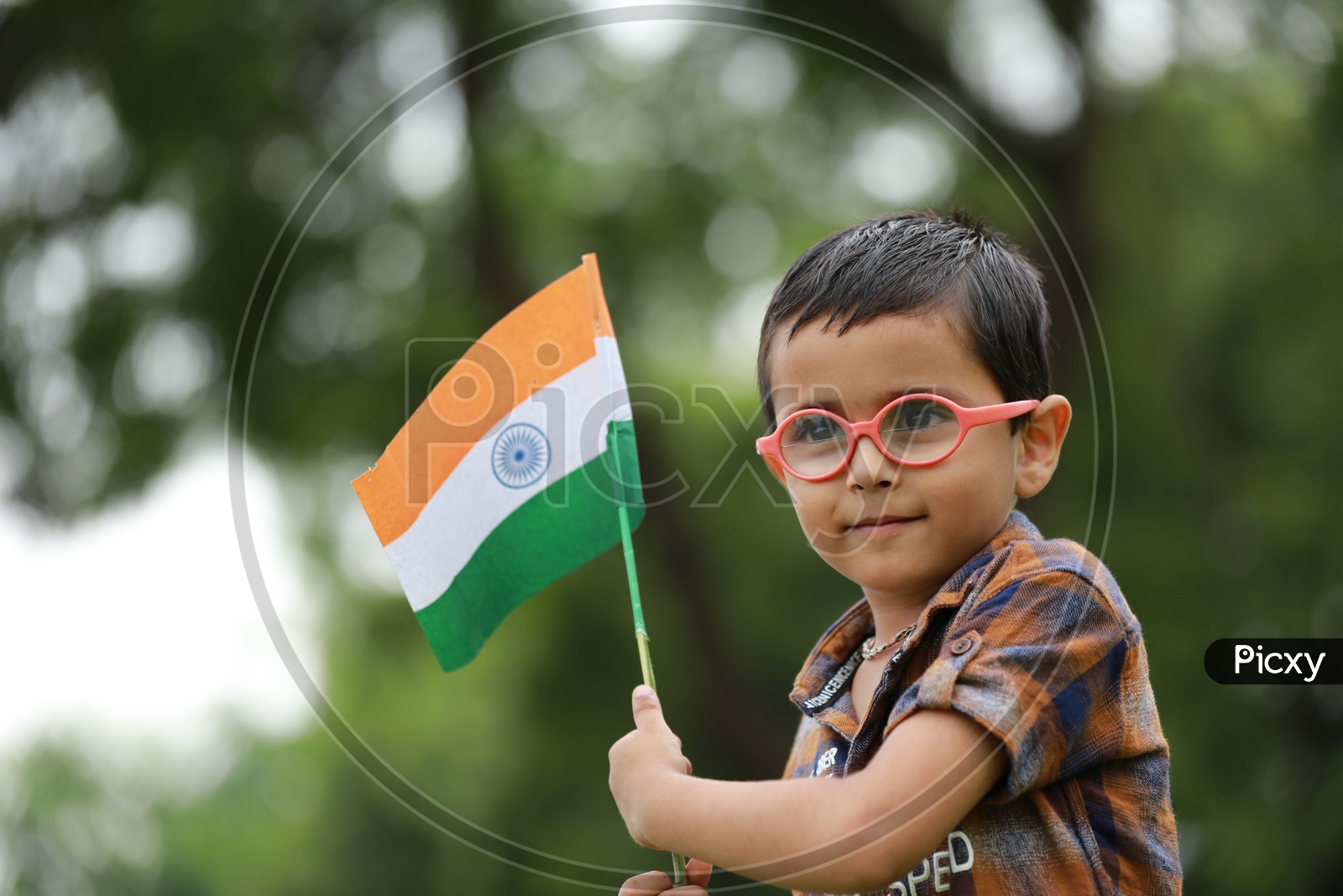 cute little kid having nation india flag in hand