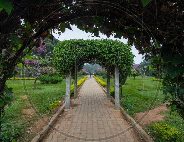 Roads in Cubbon Park / A Beautiful Pathway With Plants Cuddled Around  the Way Forming a Scenic Beautiful Way