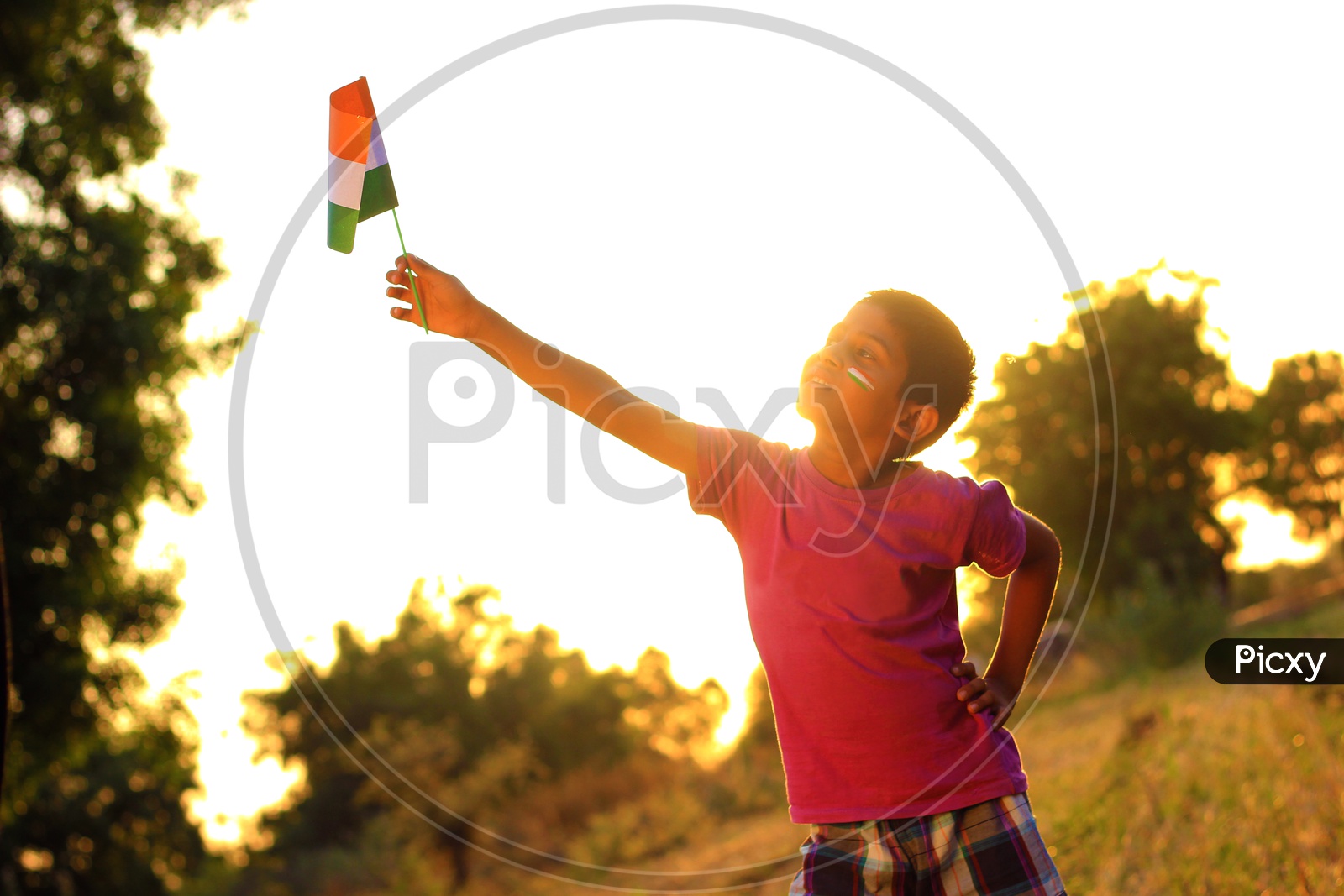 Indian Child Holding National Flag or Indian Kid