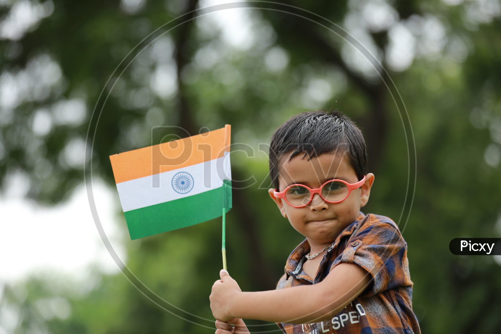 cute little kid having indian flag in hand