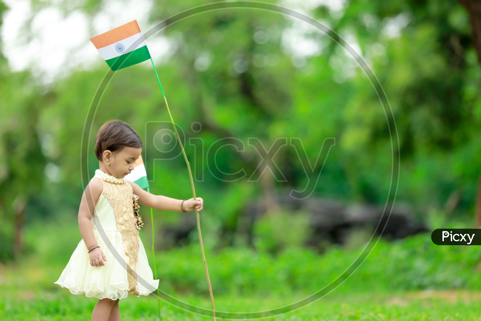 cute little kid having indian flag in hand  / indian flag / nation india