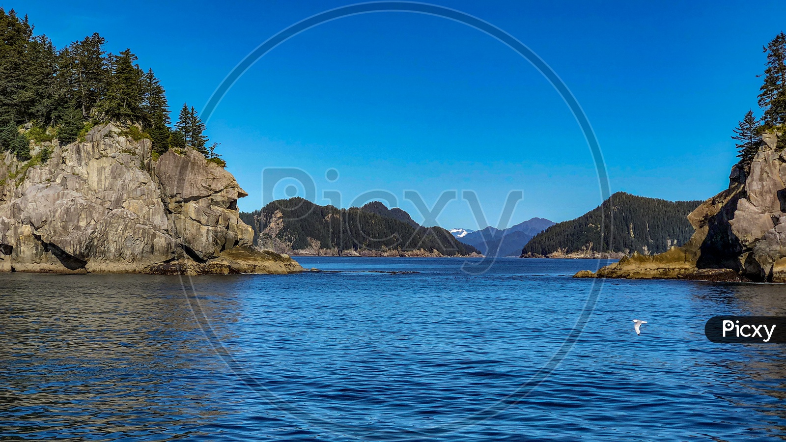 Kenai Fjords National Park - Blue Waters & Cliffs - Beautiful landscape