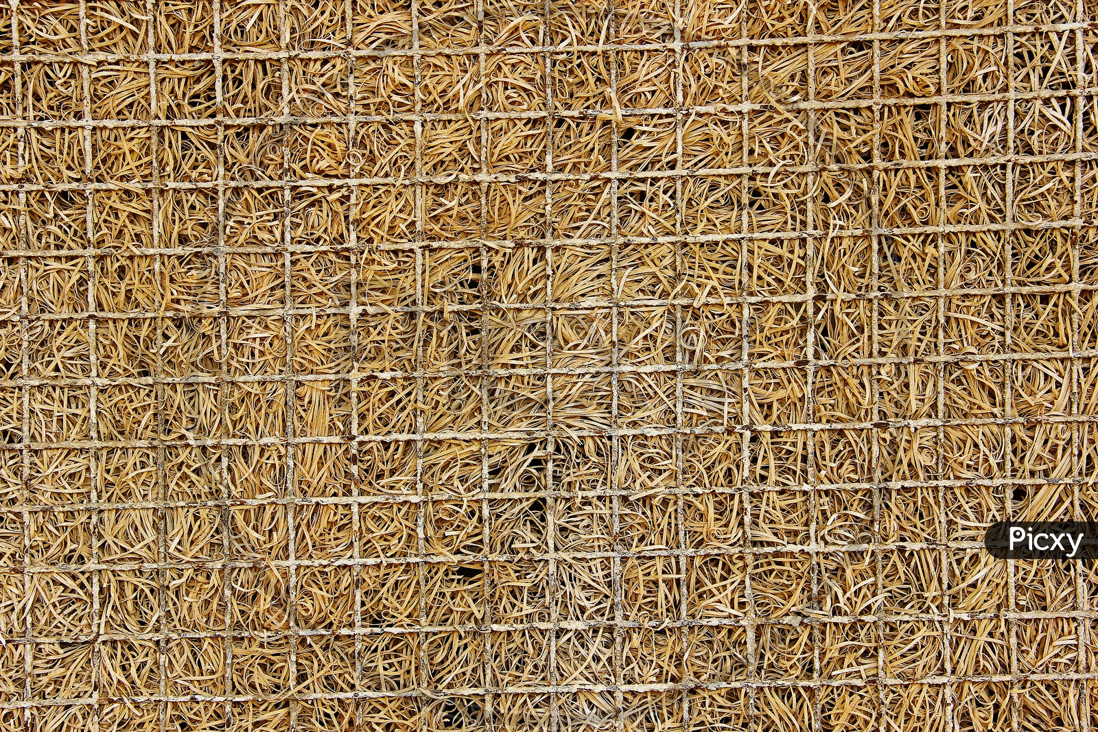 view of a coir