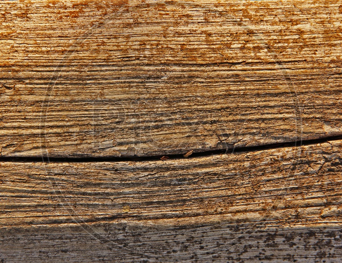 A plank of a tree.