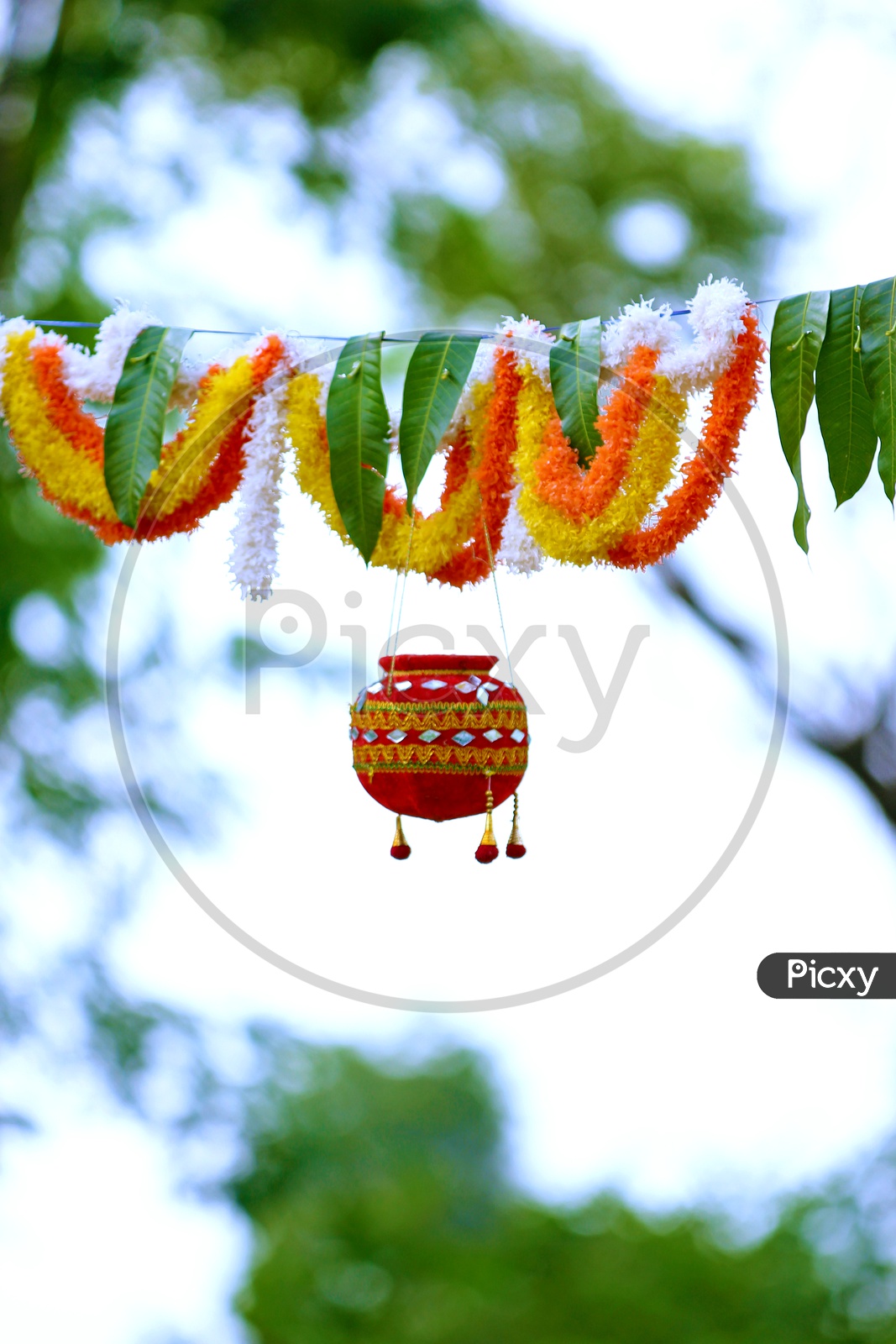 Photograph of Dahi Handi on Krishna Janmashtami, Janmashtami or Gokulashtami Festival