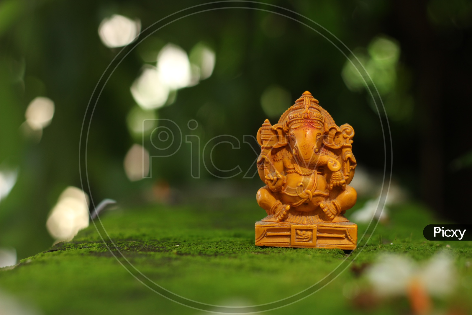 Lord Ganapathi or Ganesh Idol