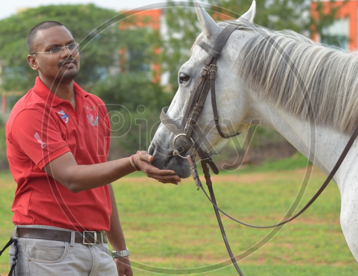 Horse Rider at Hyderabad Polo and Horse Riding Club