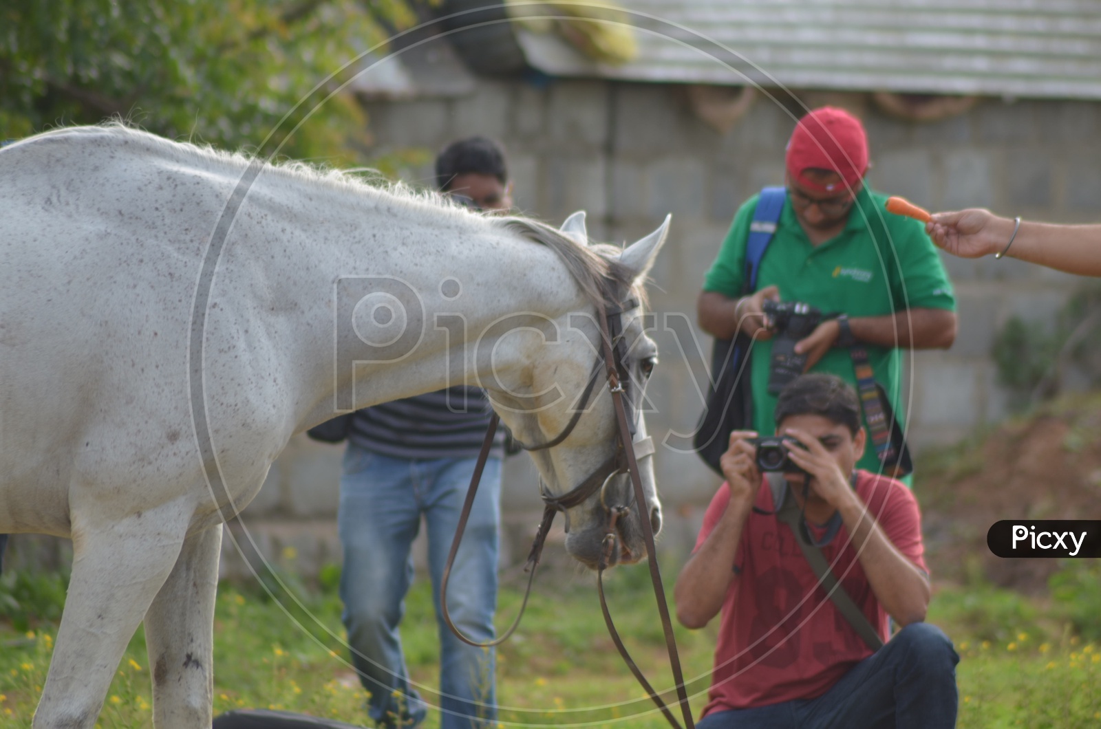 Photographers Capturing Photo of Horse at Hyderabad Polo and Horse Riding Club