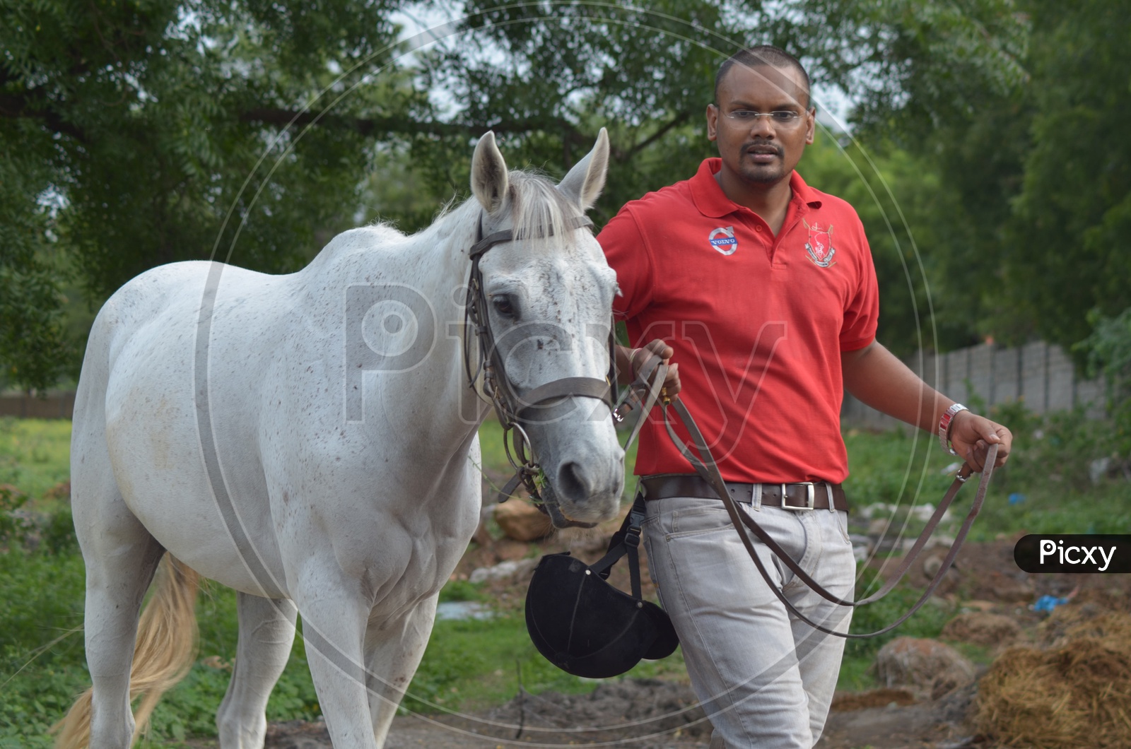 Horse and Rider at Hyderabad Polo and Horse Riding Club