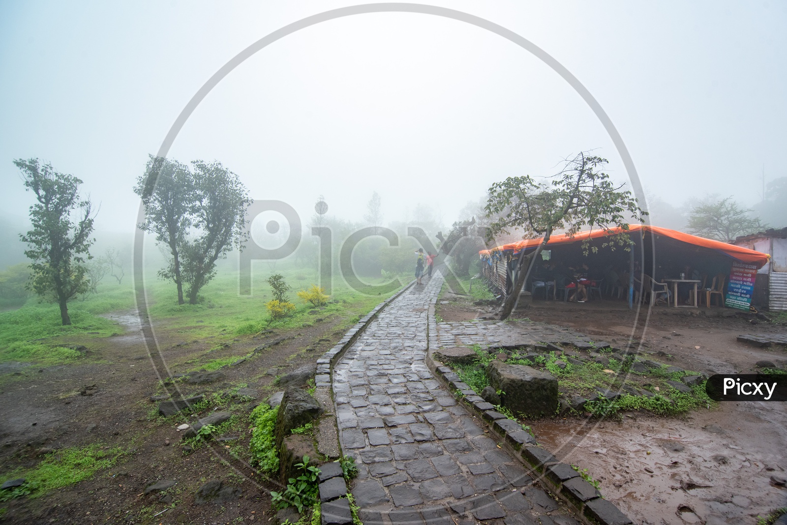 Fog and Rain during monsoon at Sinhagad Fort
