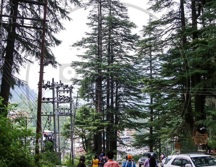 Streets of Manali